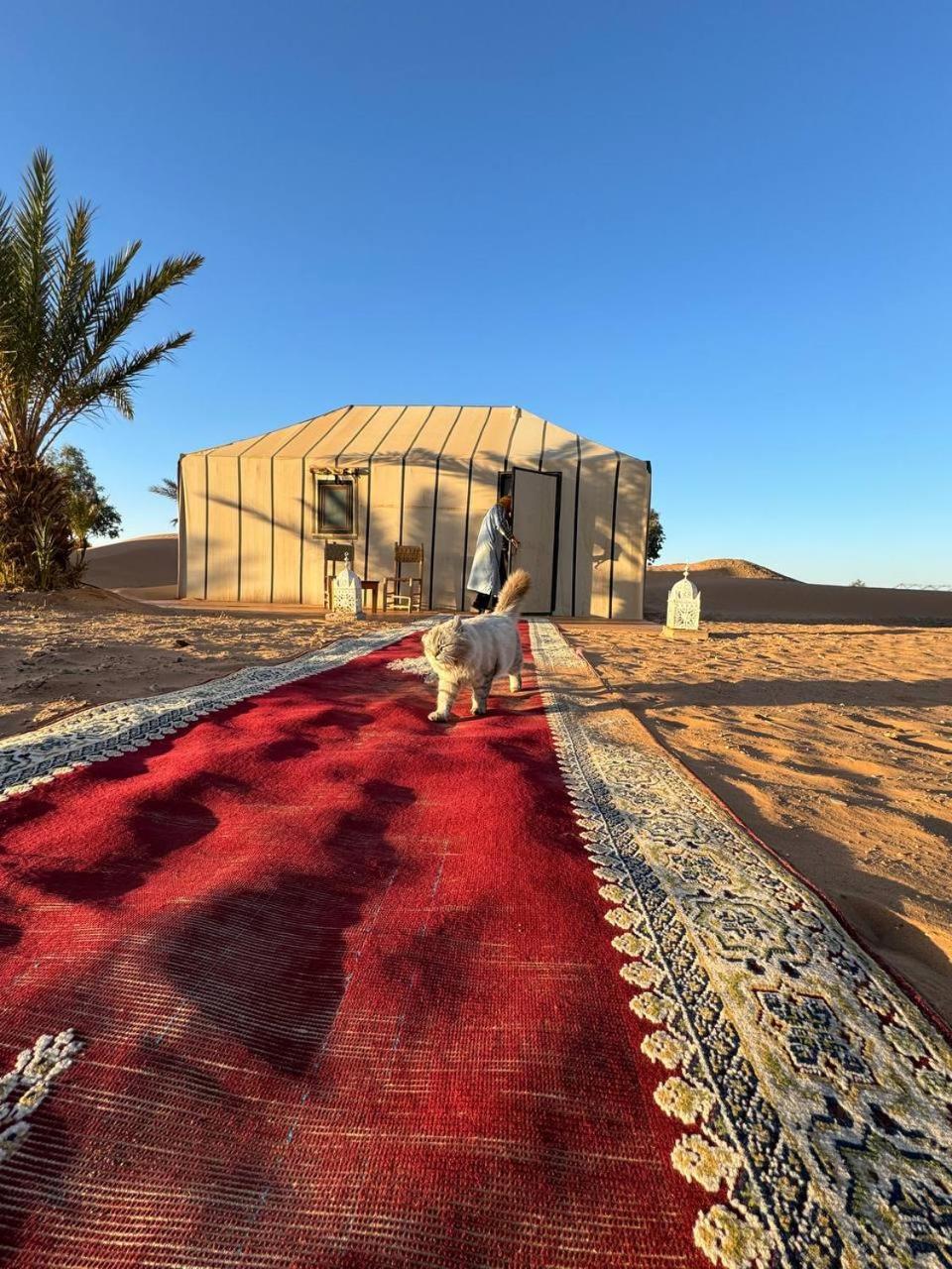 Sahara Luxury Camp Vip Ξενοδοχείο Merzouga Εξωτερικό φωτογραφία