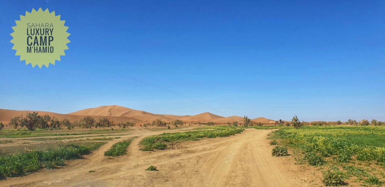 Sahara Luxury Camp Vip Ξενοδοχείο Merzouga Εξωτερικό φωτογραφία